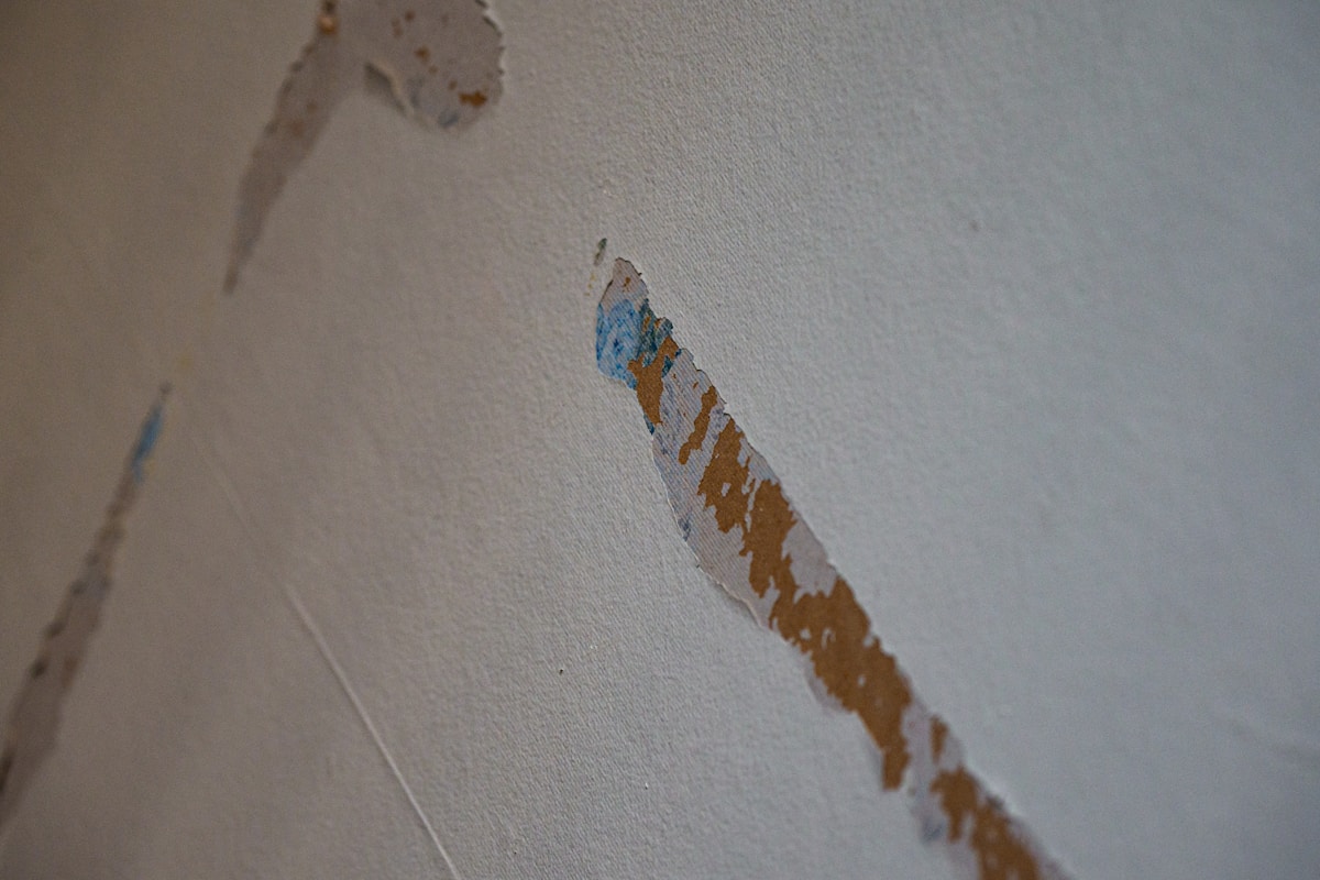 Sewage Cleanup service in Ames, IA